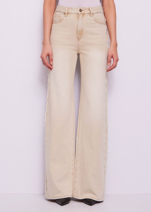 Jeans Desgastados